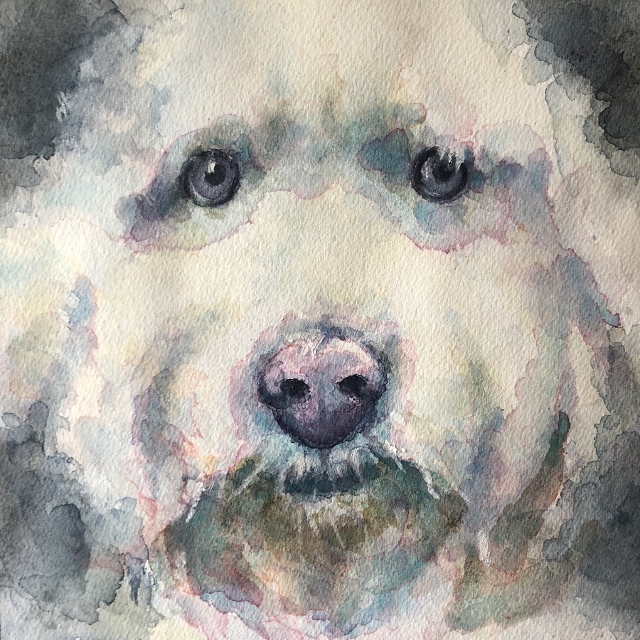 Tutorial: How To Paint A Dog Portrait In Watercolour - Ken Bromley Art Supplies