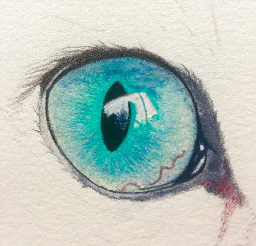 Blending and layering to create a realistic cat's eye 🐱 #drawingcats ... |  TikTok