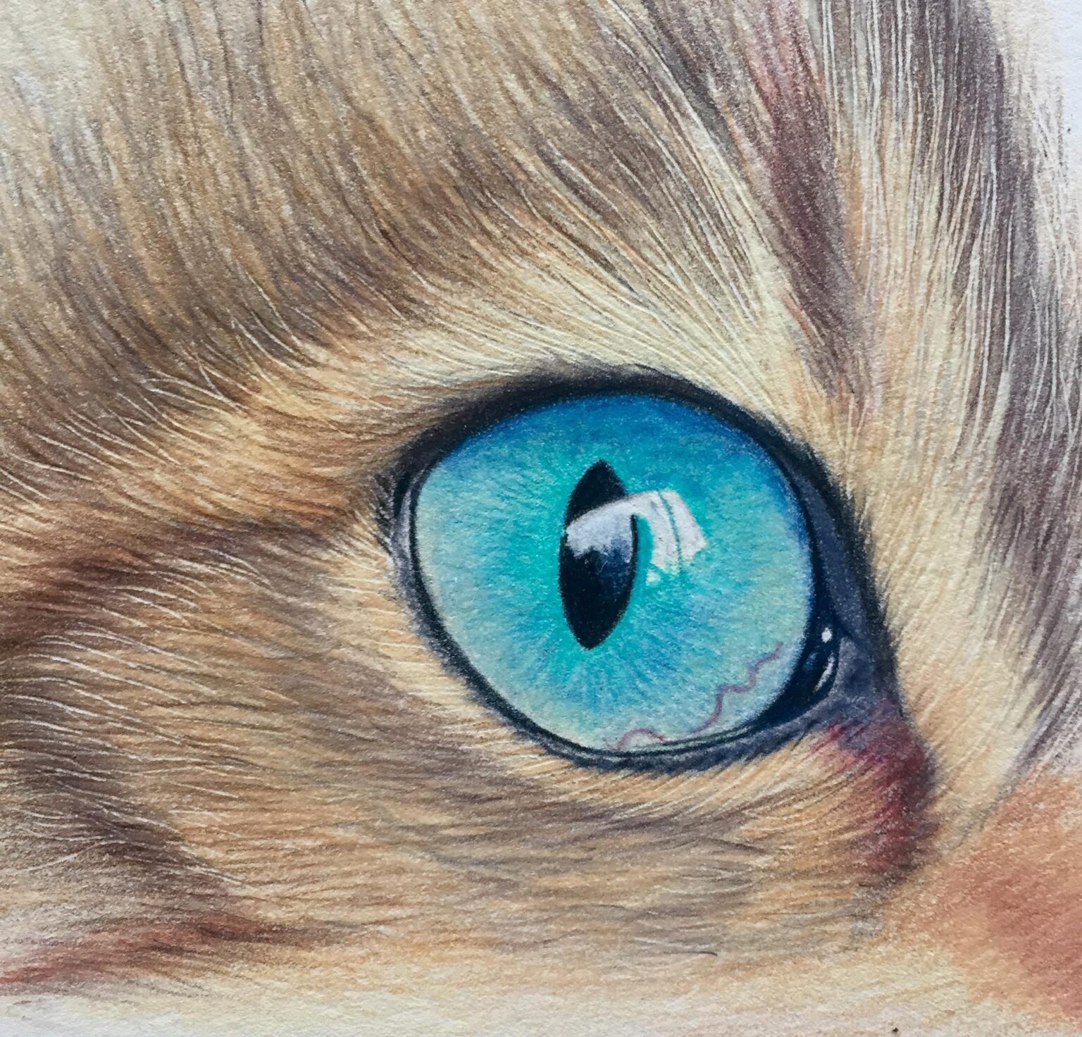 Derwent Chromaflow Cats Eye Tutorial | Bromleys Art Supplies