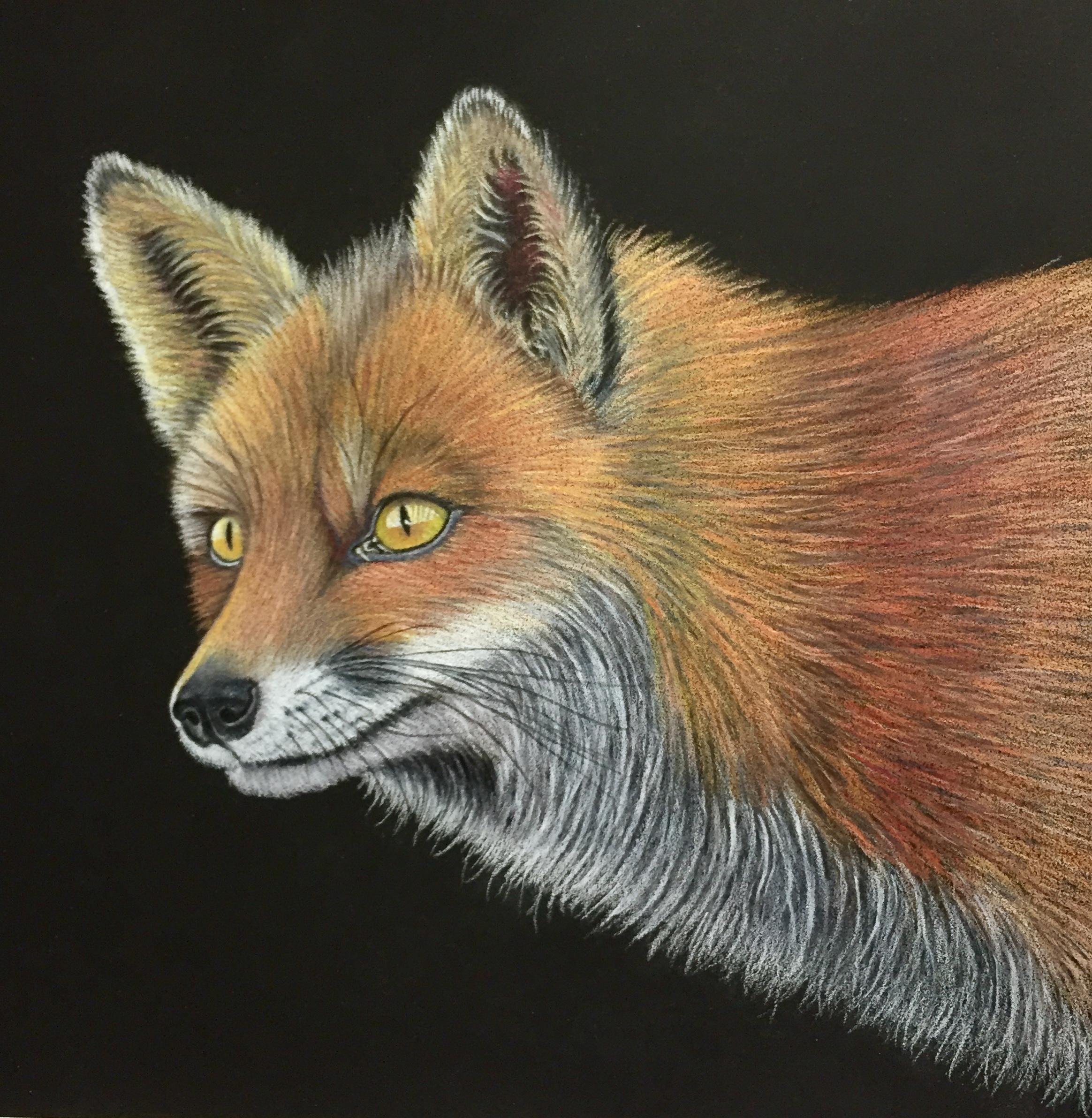 https://www.artsupplies.co.uk/blog/wp-content/uploads/2022/09/FOX-FUR-STEP-BY-STEP-FOR-BEGINNERS-Intro.jpg