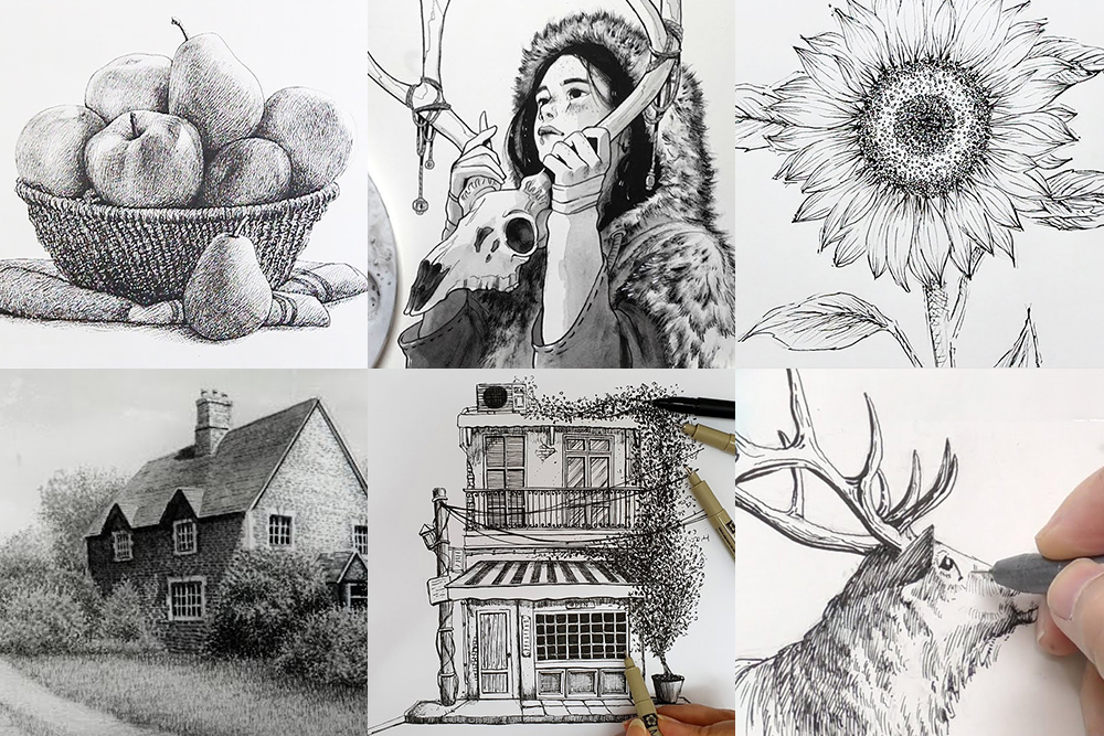 Pen & Ink Drawing Ideas - 24 Curated Video Tutorials and