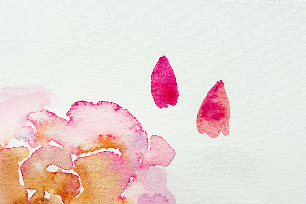 Joe Parsons Watercolour Rose Tutorial Step 5