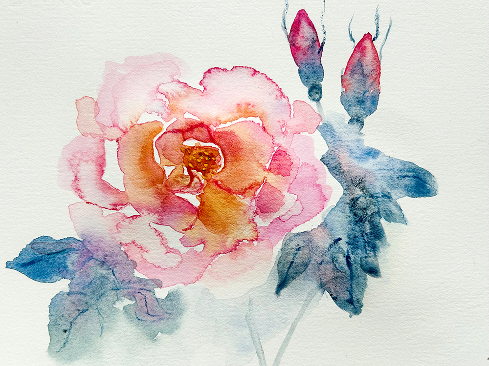 Blooming Rose Watercolour Tutorial