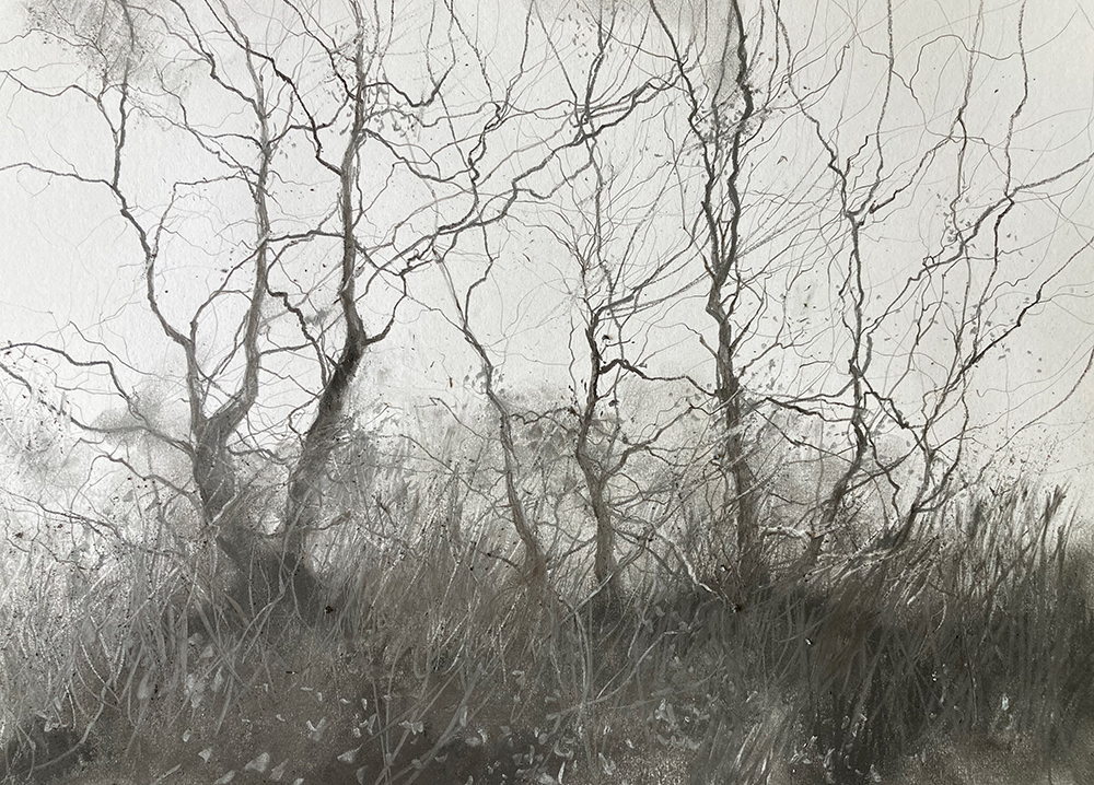 Exploring Graphite Landscapes with Derwent XL Graphite Blocks